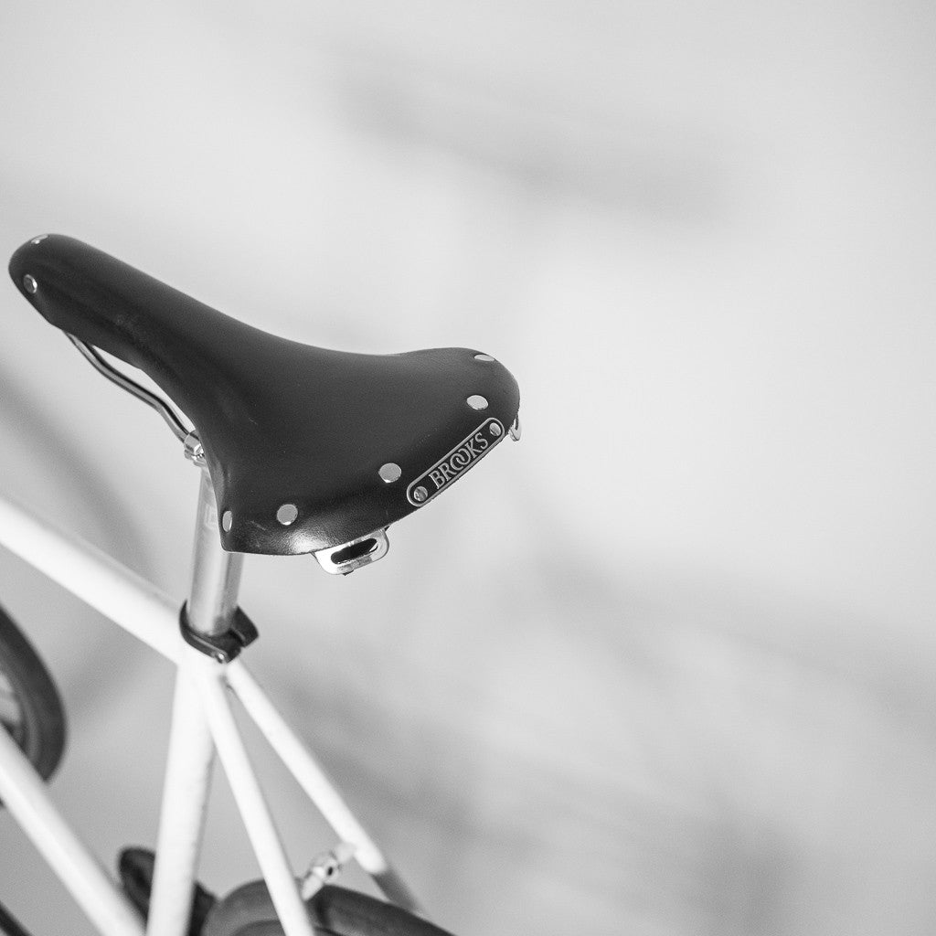 Brookshield - Bicycle mudguard – Ass Savers